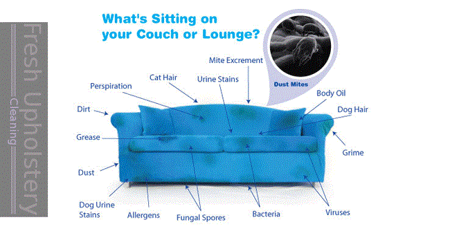 Why Upholstery Cleaning is Important Yallock?