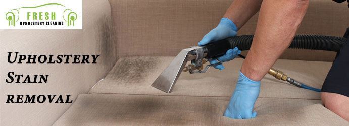Upholstery Stain Removal