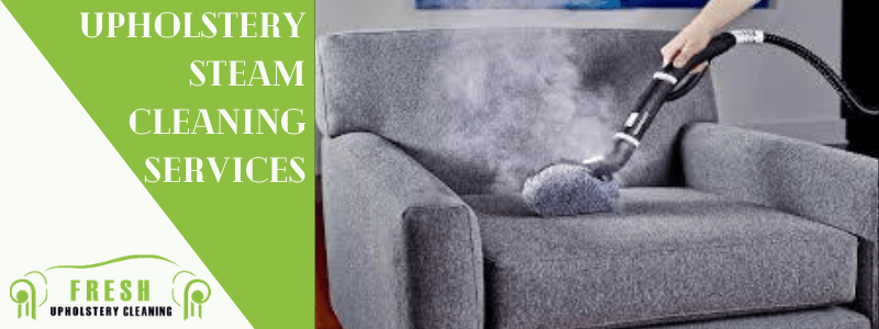 Upholstery Steam Cleaning Services