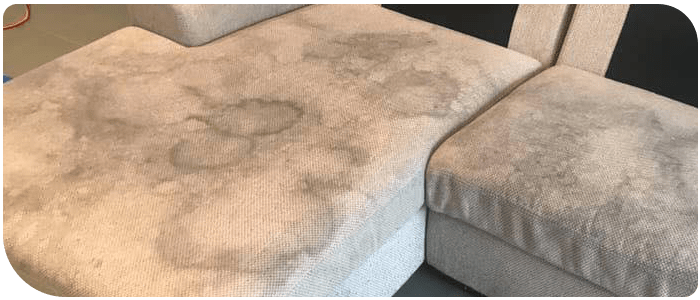Upholstery Cleaning Camden