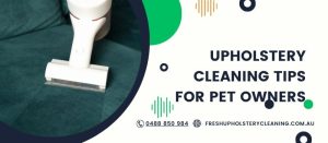 Upholstery Cleaning Tips for Pet Owners