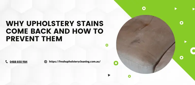 Why Upholstery Stains Come Back And How To Prevent Them